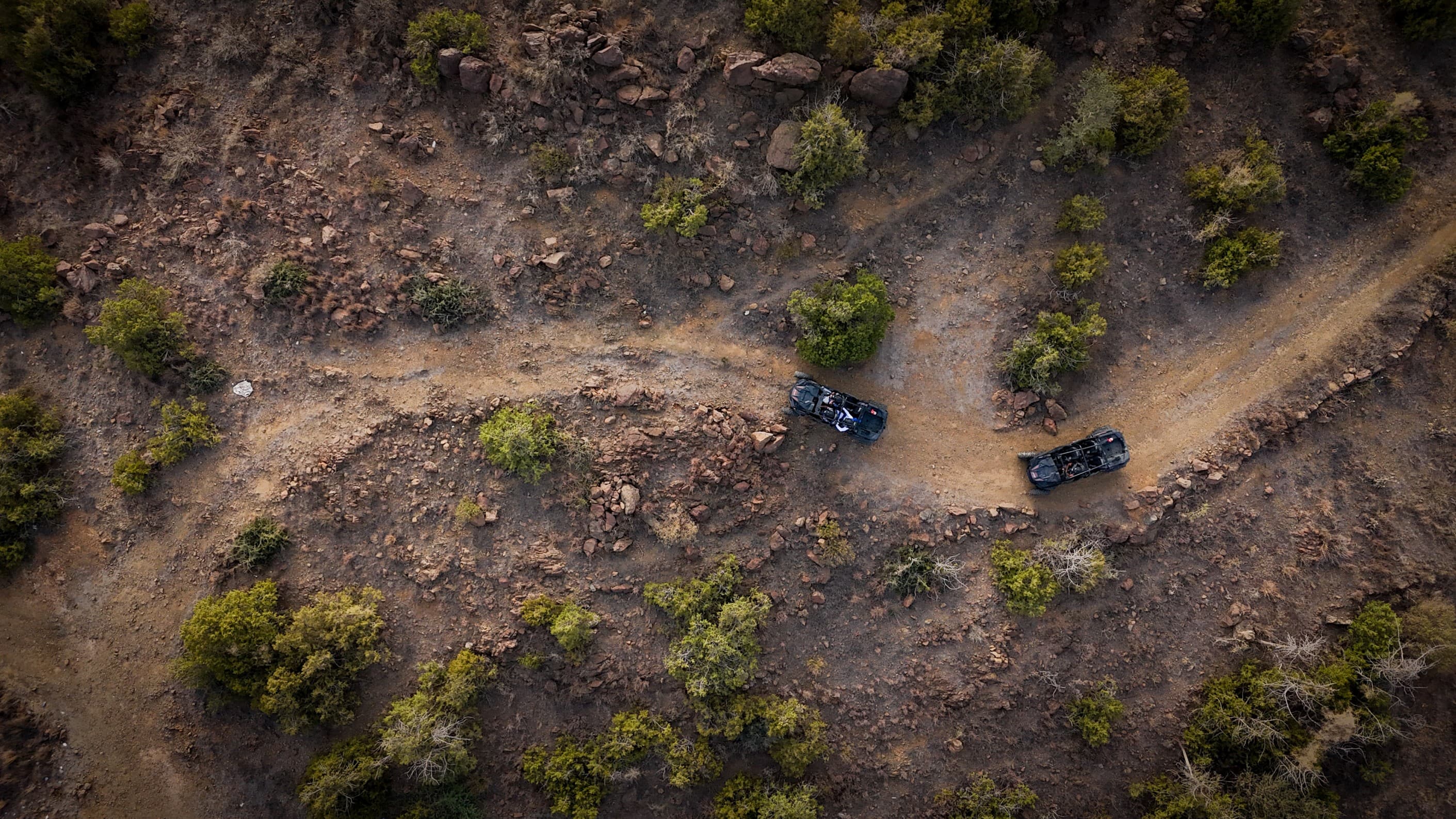 Al-Baha: A mountain buggy experience